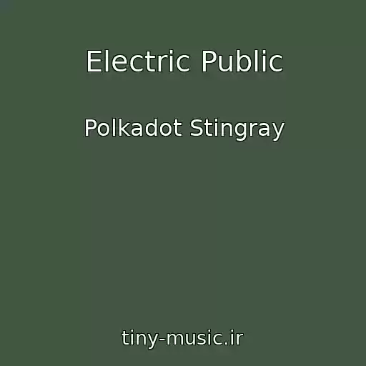 کاور آهنگ Electric Public از Polkadot Stingray