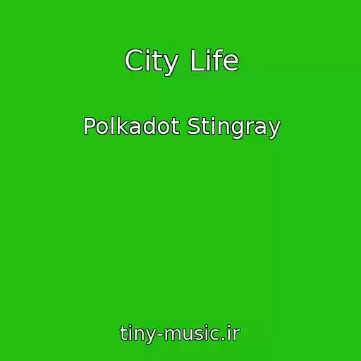 کاور آهنگ City Life از Polkadot Stingray