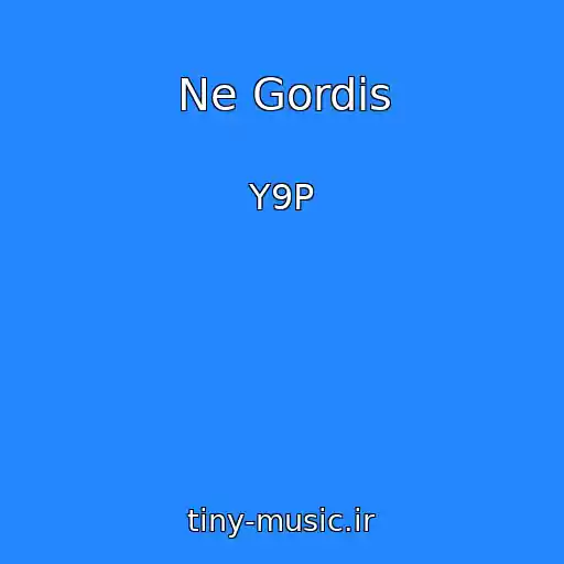 کاور آهنگ Ne Gordis از Y9P