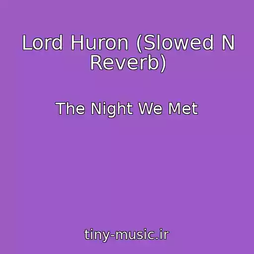 کاور آهنگ Lord Huron (Slowed N Reverb) از The Night We Met
