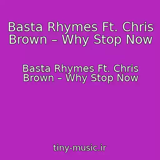 کاور آهنگ Basta Rhymes Ft. Chris Brown – Why Stop Now از Basta Rhymes Ft. Chris Brown – Why Stop Now