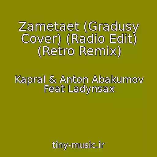 کاور آهنگ Zametaet (Gradusy Cover) (Radio Edit) (Retro Remix) از Kapral & Anton Abakumov Feat Ladynsax
