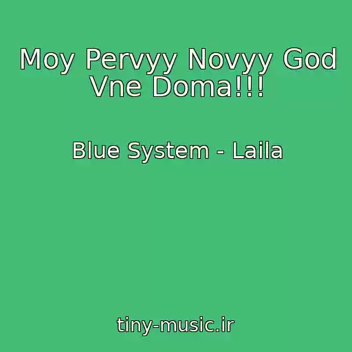 کاور آهنگ Moy Pervyy Novyy God Vne Doma!!! از Blue System - Laila