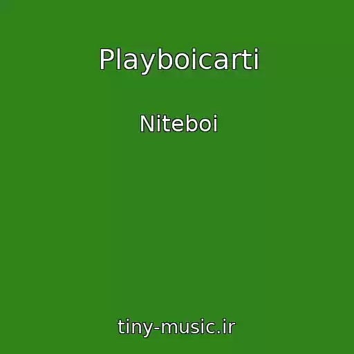 کاور آهنگ Playboicarti از Niteboi