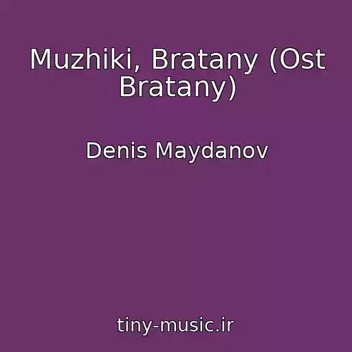کاور آهنگ Muzhiki, Bratany (Ost Bratany) از Denis Maydanov