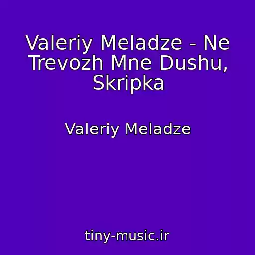 کاور آهنگ Valeriy Meladze - Ne Trevozh Mne Dushu, Skripka از Valeriy Meladze