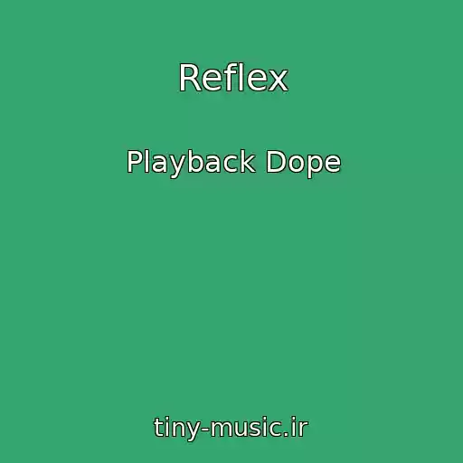 کاور آهنگ Reflex از Playback Dope