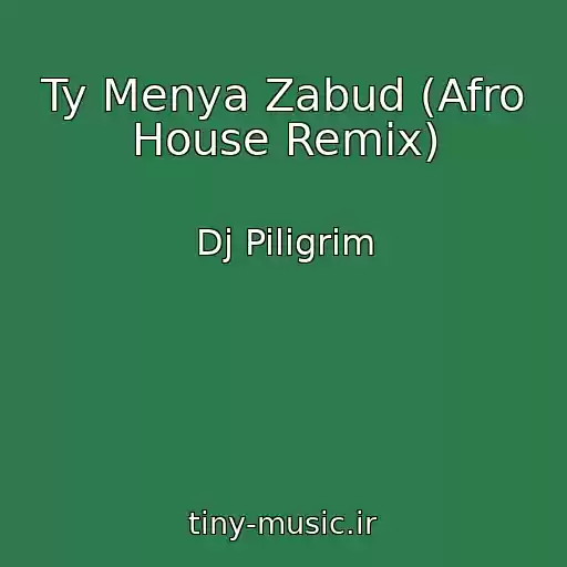 کاور آهنگ Ty Menya Zabud (Afro House Remix) از Dj Piligrim