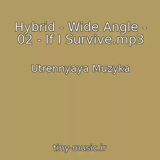 کاور آهنگ Hybrid - Wide Angle - 02 - If I Survive.mp3 از Utrennyaya Muzyka