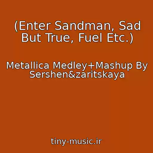 کاور آهنگ (Enter Sandman, Sad But True, Fuel Etc.) از Metallica Medley+Mashup By Sershen&zaritskaya