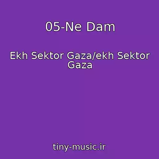 کاور آهنگ 05-Ne Dam از Ekh Sektor Gaza/ekh Sektor Gaza