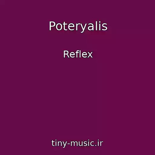 کاور آهنگ Poteryalis از Reflex