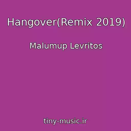 کاور آهنگ Hangover(Remix 2019) از Malumup Levritos