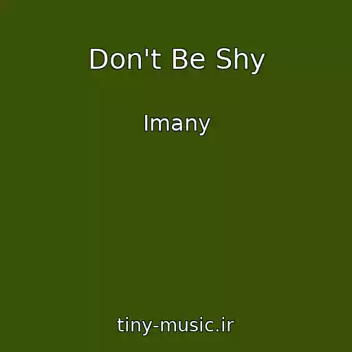 کاور آهنگ Don't Be Shy از Imany