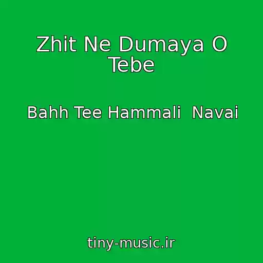 کاور آهنگ Zhit Ne Dumaya O Tebe از Bahh Tee Hammali  Navai