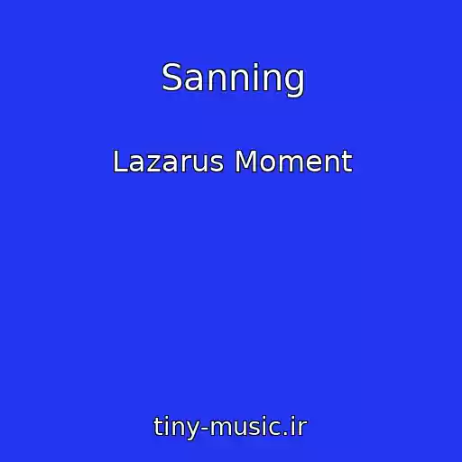 کاور آهنگ Sanning از Lazarus Moment