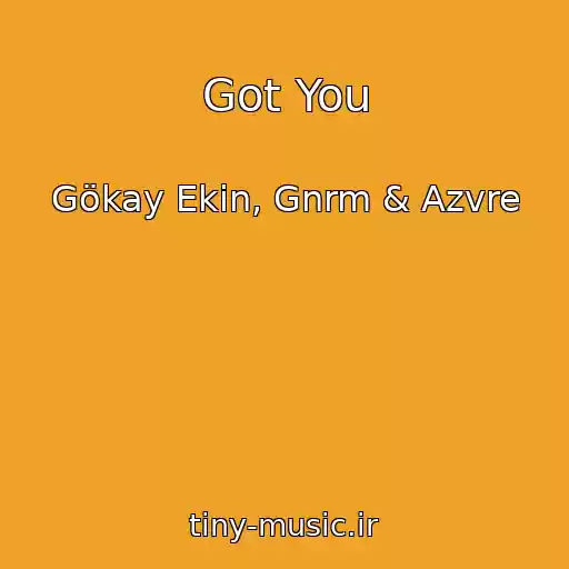 کاور آهنگ Got You از Gökay Ekin, Gnrm & Azvre