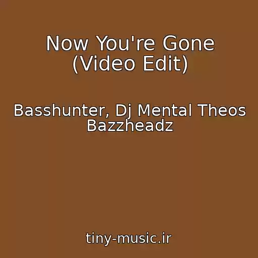 کاور آهنگ Now You're Gone (Video Edit) از Basshunter, Dj Mental Theos Bazzheadz