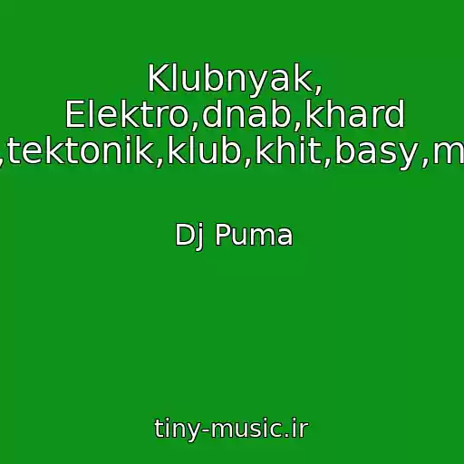 کاور آهنگ Klubnyak, Elektro,dnab,khard Bas,tektonik,klub,khit,basy,minus از Dj Puma