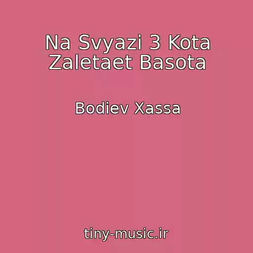 کاور آهنگ Na Svyazi 3 Kota Zaletaet Basota از Bodiev Xassa