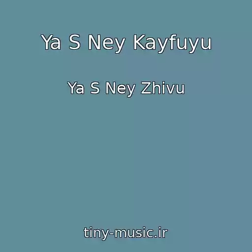 کاور آهنگ Ya S Ney Kayfuyu از Ya S Ney Zhivu