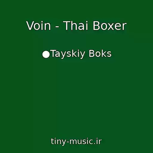 کاور آهنگ Voin - Thai Boxer از ●Tayskiy Boks