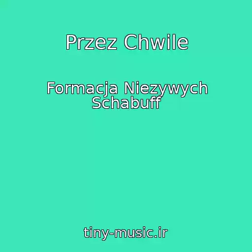کاور آهنگ Przez Chwile از Formacja Niezywych Schabuff