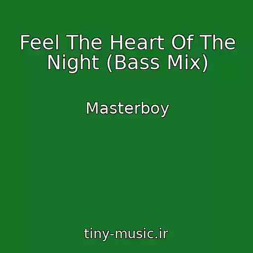 کاور آهنگ Feel The Heart Of The Night (Bass Mix) از Masterboy