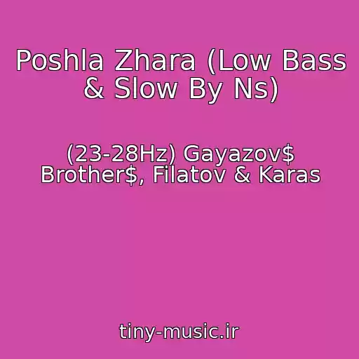 کاور آهنگ Poshla Zhara (Low Bass & Slow By Ns) از (23-28Hz) Gayazov$ Brother$, Filatov & Karas
