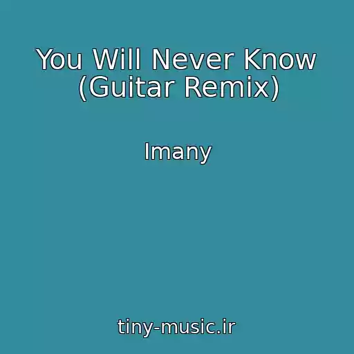 کاور آهنگ You Will Never Know (Guitar Remix) از Imany