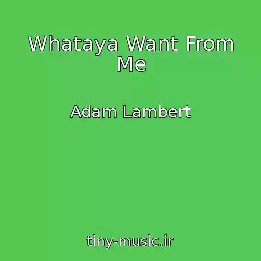 کاور آهنگ Whataya Want From Me از Adam Lambert