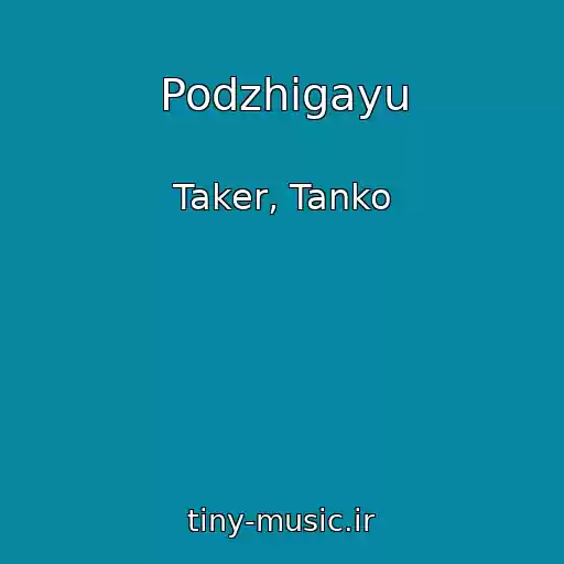 کاور آهنگ Podzhigayu از Taker, Tanko