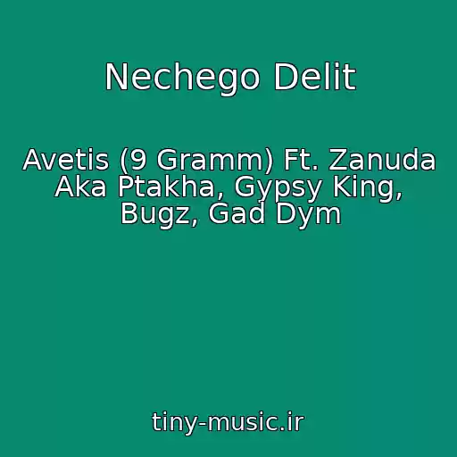 کاور آهنگ Nechego Delit از Avetis (9 Gramm) Ft. Zanuda Aka Ptakha, Gypsy King, Bugz, Gad Dym
