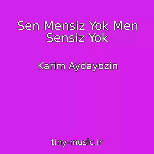 کاور آهنگ Sen Mensiz Yok Men Sensiz Yok از Karim Aydayozin