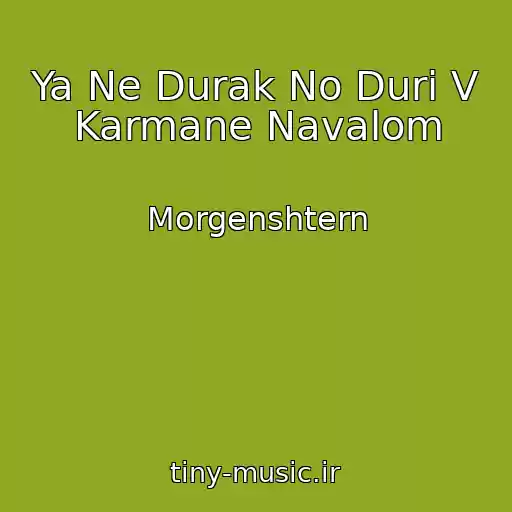 کاور آهنگ Ya Ne Durak No Duri V Karmane Navalom از Morgenshtern