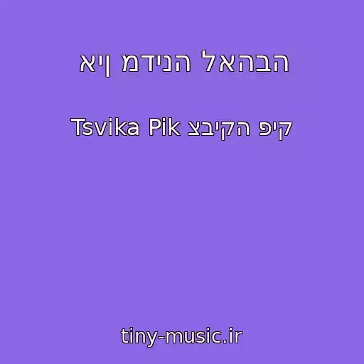 کاور آهنگ אין מדינה לאהבה از Tsvika Pik צביקה פיק