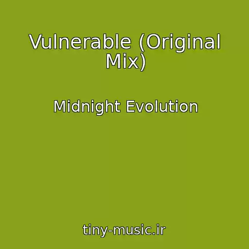 کاور آهنگ Vulnerable (Original Mix) از Midnight Evolution