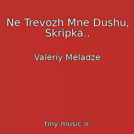 کاور آهنگ Ne Trevozh Mne Dushu, Skripka.. از Valeriy Meladze