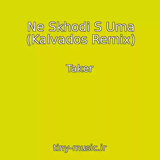کاور آهنگ Ne Skhodi S Uma (Kalvados Remix) از Taker