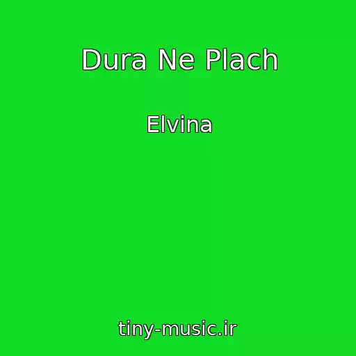 کاور آهنگ Dura Ne Plach از Elvina