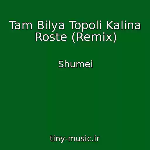 کاور آهنگ Tam Bіlya Topolі Kalina Roste (Remix) از Shumei