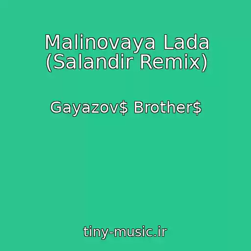 کاور آهنگ Malinovaya Lada (Salandir Remix) از Gayazov$ Brother$