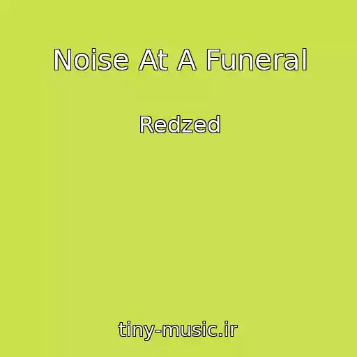 کاور آهنگ Noise At A Funeral از Redzed