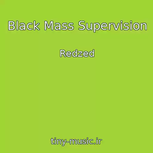 کاور آهنگ Black Mass Supervision از Redzed