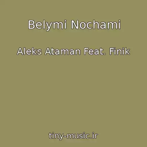 کاور آهنگ Belymi Nochami از Aleks Ataman Feat. Finik