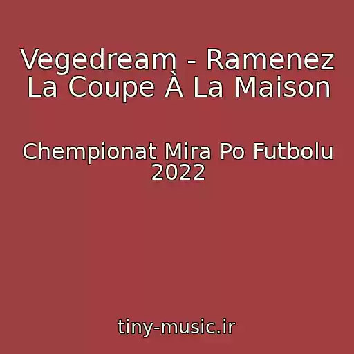 کاور آهنگ Vegedream - Ramenez La Coupe À La Maison از Chempionat Mira Po Futbolu 2022