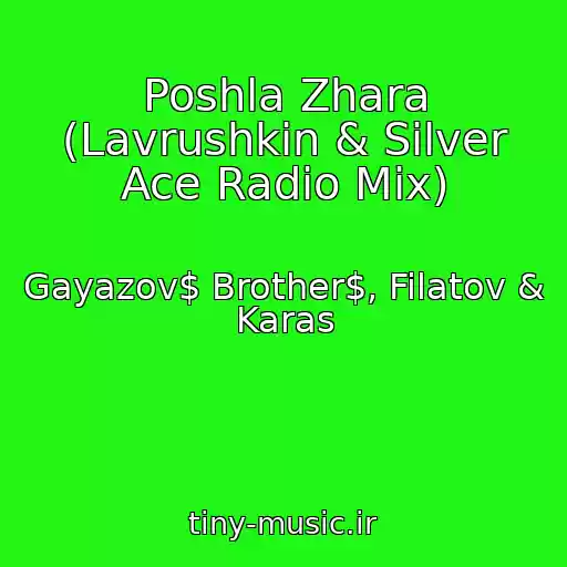 کاور آهنگ Poshla Zhara (Lavrushkin & Silver Ace Radio Mix) از Gayazov$ Brother$, Filatov & Karas