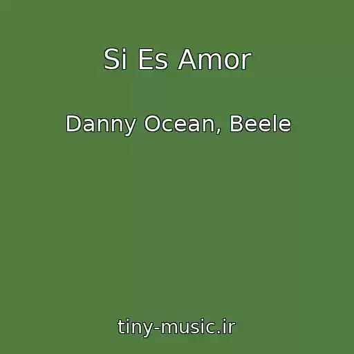 کاور آهنگ Si Es Amor از Danny Ocean, Beele