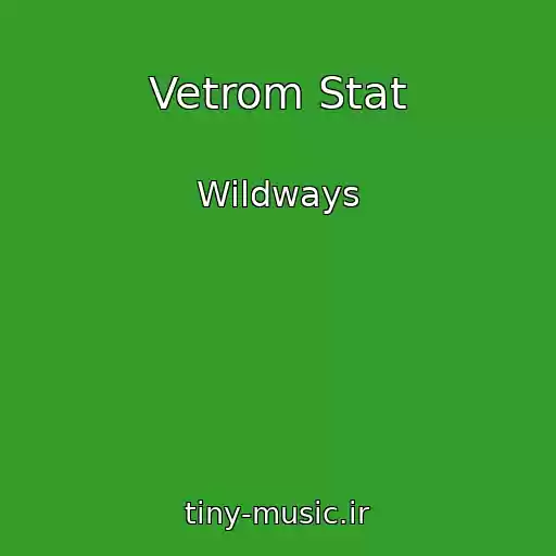 کاور آهنگ Vetrom Stat از Wildways