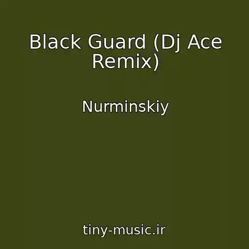 کاور آهنگ Black Guard (Dj Ace Remix) از Nurminskiy
